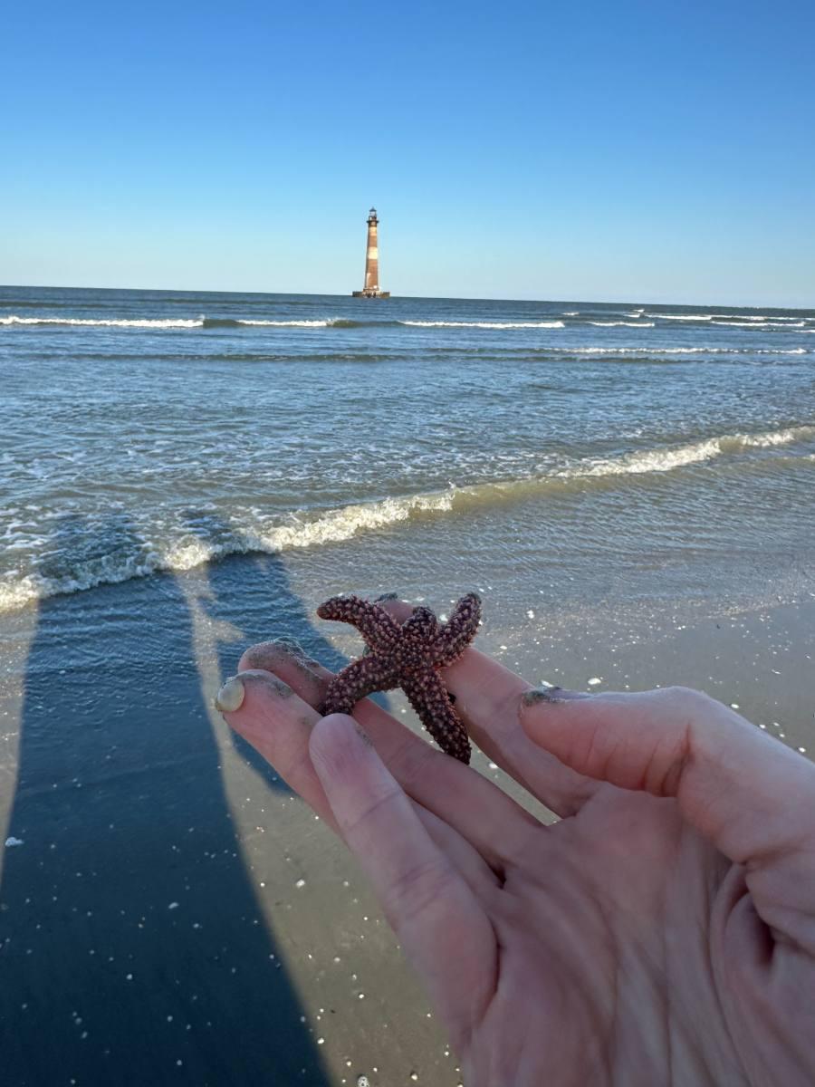 A starfish held up against the shoreline and lighthouse