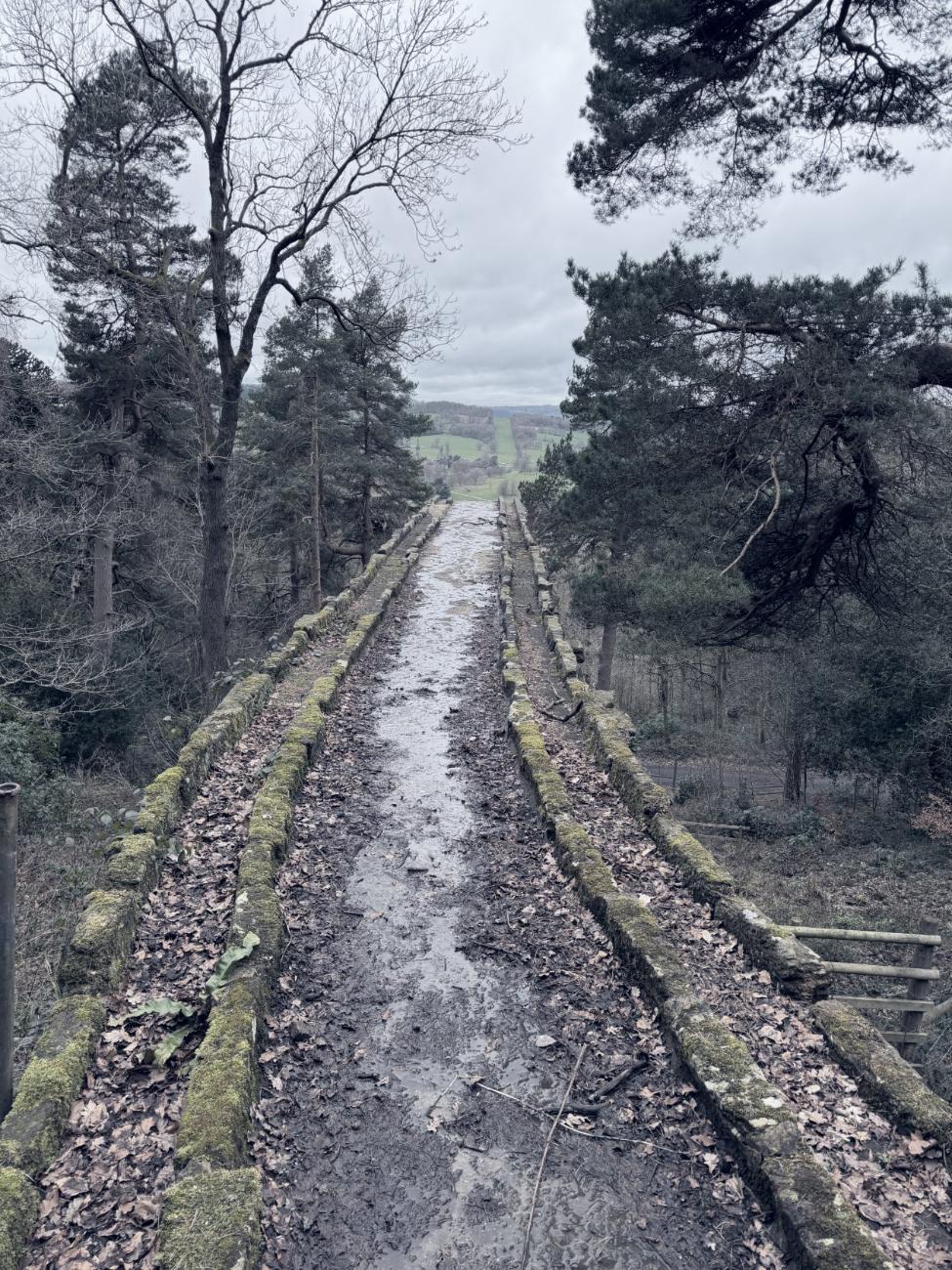 A stone path leading downhill toward open country