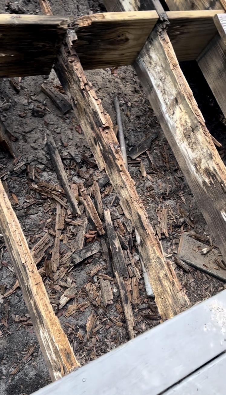 Rotted, splintering joists under the old deck