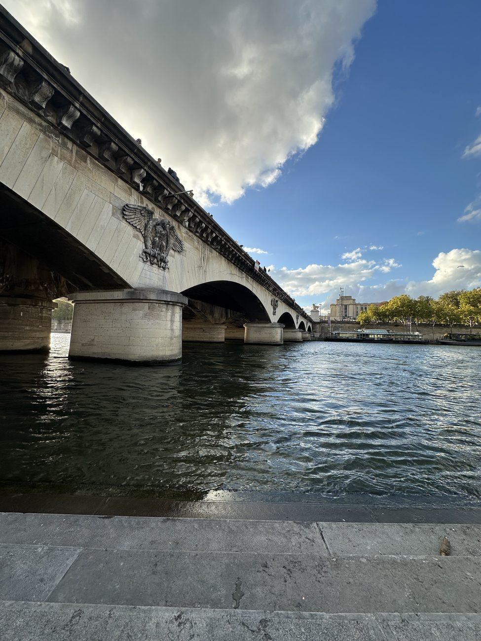 A stone bridge with carved eagles crossing the Seine in Paris under a heavy cloud