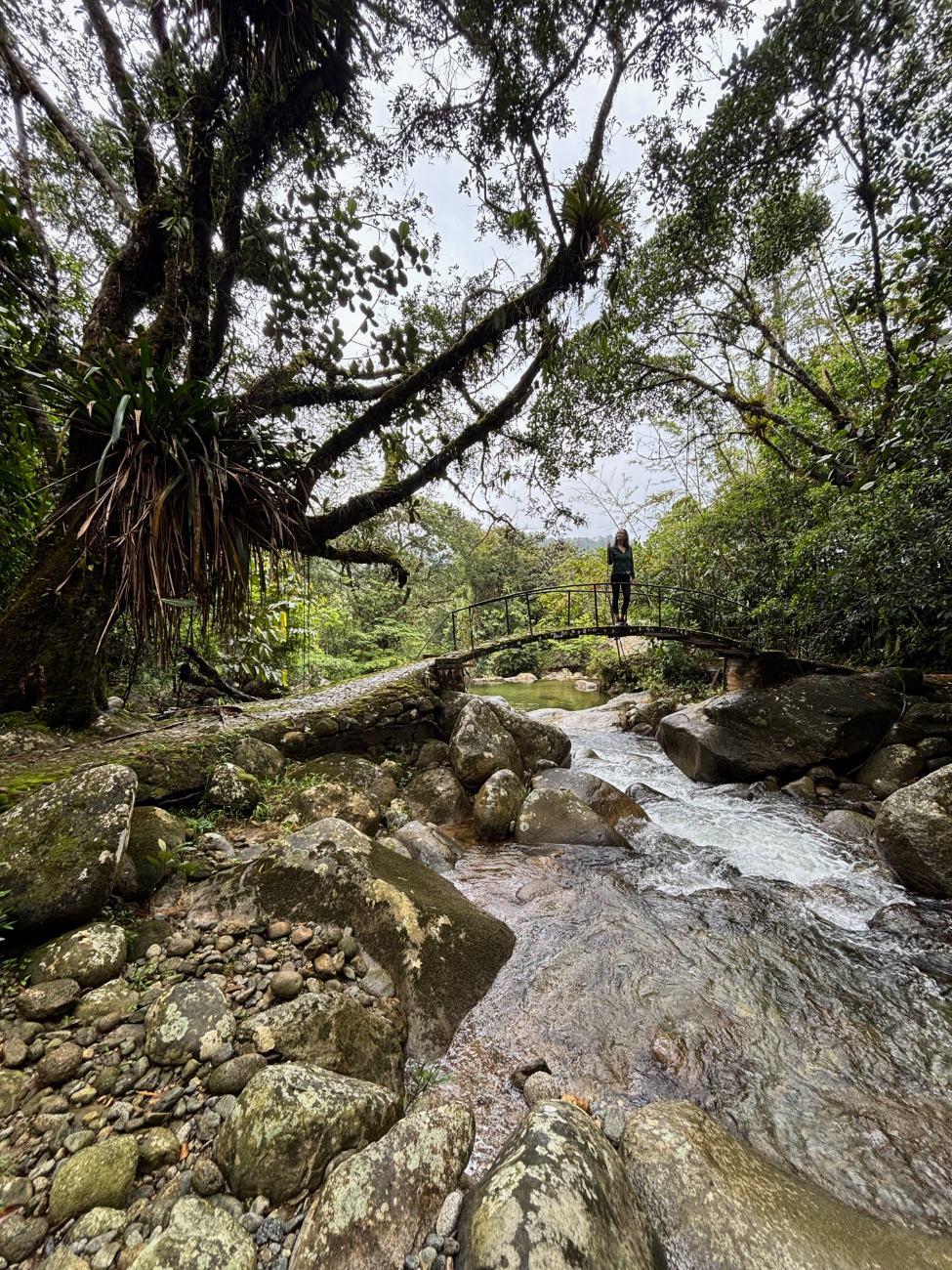 Ashley on a footbridge over a river in the Colombian rainforest