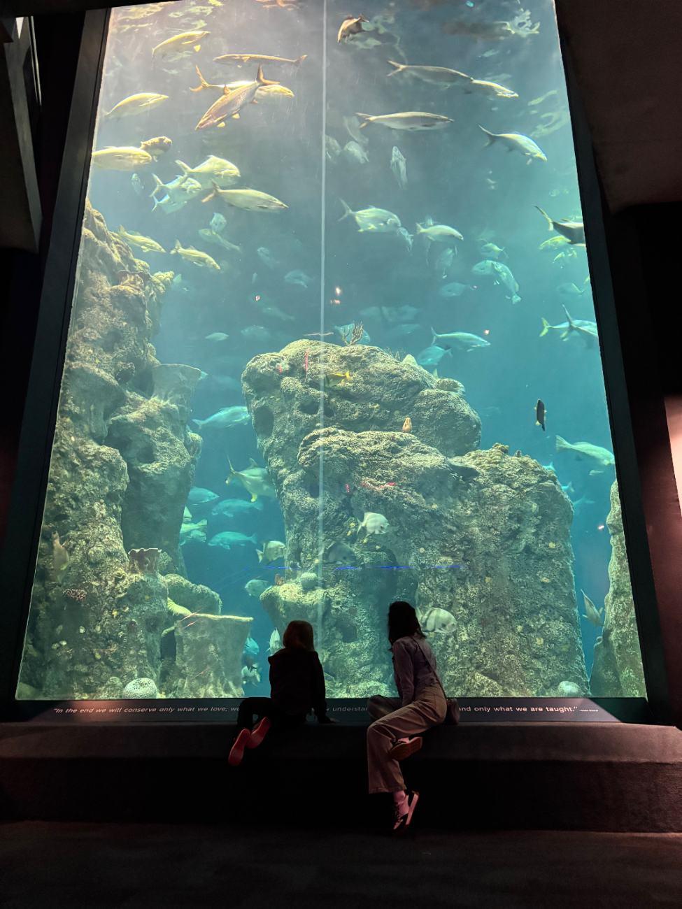 Ashley and her daughter sitting in front of a large aquarium tank
