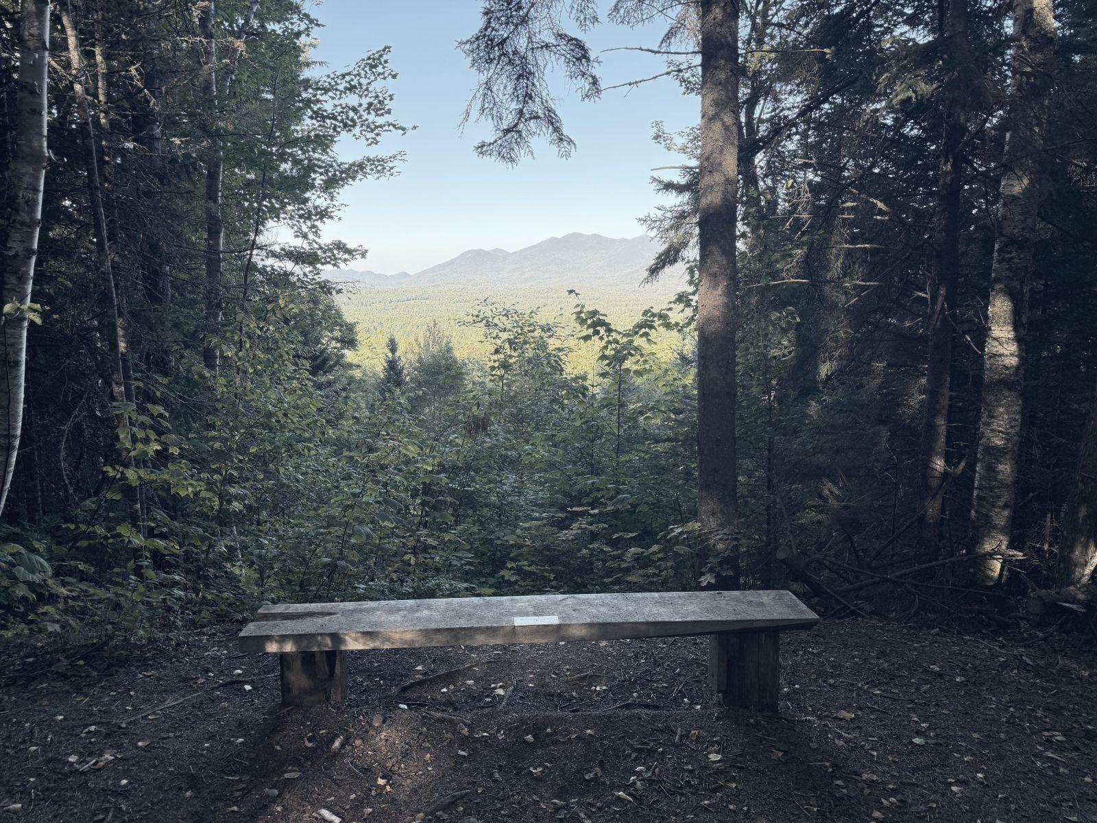 A bench at a clearing looking out over forest toward distant mountains