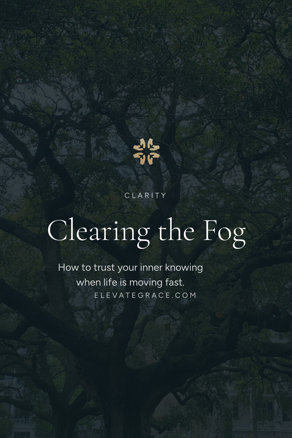 Clearing the Fog